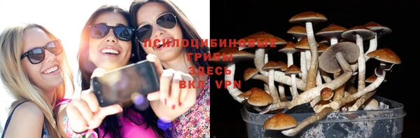 круглые Аркадак
