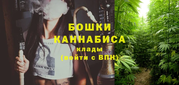 трава Армянск