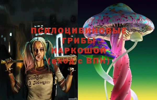 дживик Арсеньев