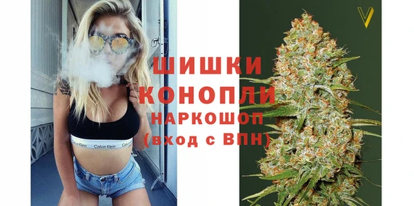 круглые Аркадак