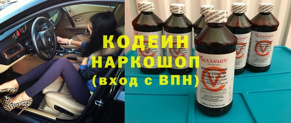 дживик Арсеньев