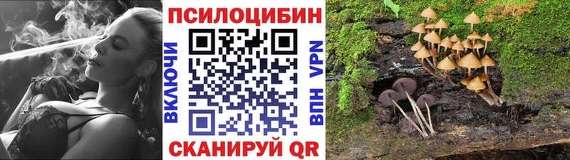 Галлюциногенные грибы Cubensis  ссылка на мегу вход  Липки 